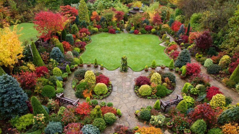 Всесезонный сад: создание и организация уголка природы у вас дома