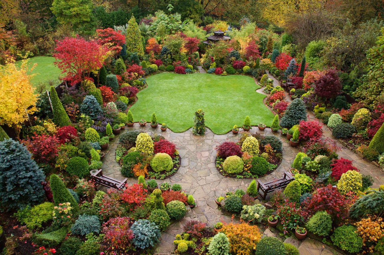 Всесезонный сад: создание и организация уголка природы у вас дома
