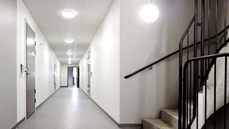 «Светодиодные светильники для ЖКХ: преимущества, особенности выбора и установки»